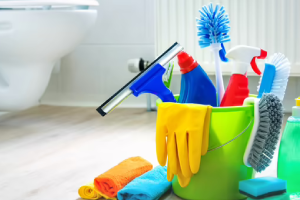 Messie Reinigung Peine