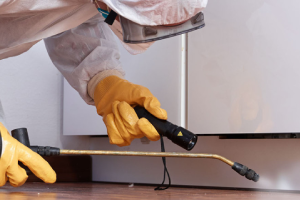 Messie Schädlingsbekämpfung Peine